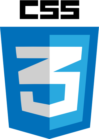 css3 Logo